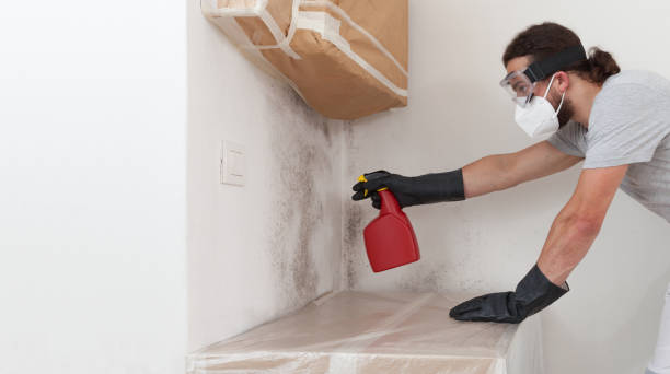 Professional Bathroom Mold Removal technician working in Waverly, NY